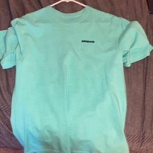 Mens Mint Patagonia Tshirt